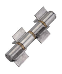 CERNIERA 4 ALI APERTE A...